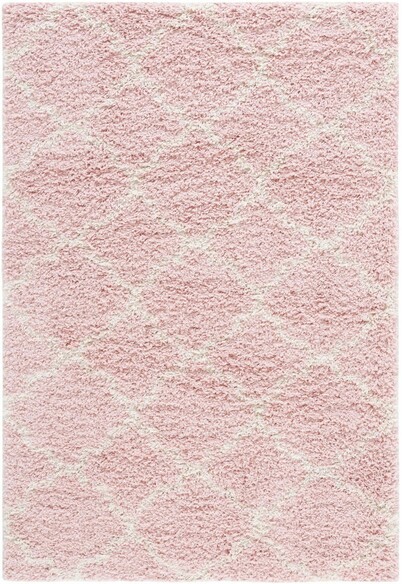 Safavieh Hudson Shag SGH282M Pink and Ivory
