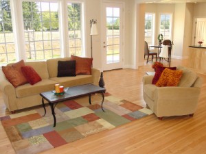 Living Room with Area Rug