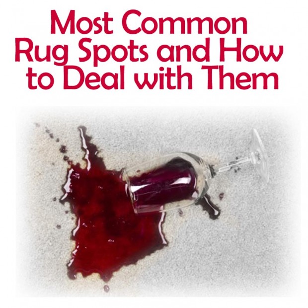 Most common rug spots and how to deal with them