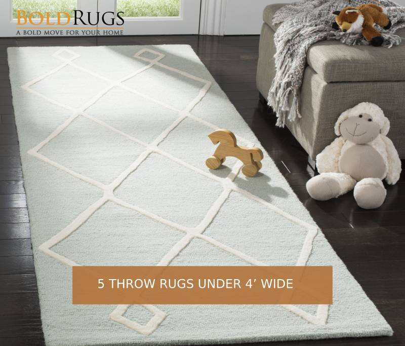 5 Throw Rugs Under 4’ Wide