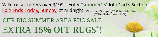 Area Rug Sale
