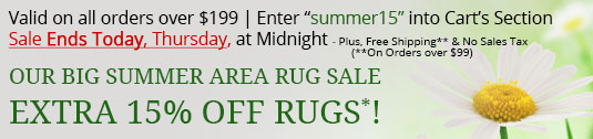 Area Rug Sale