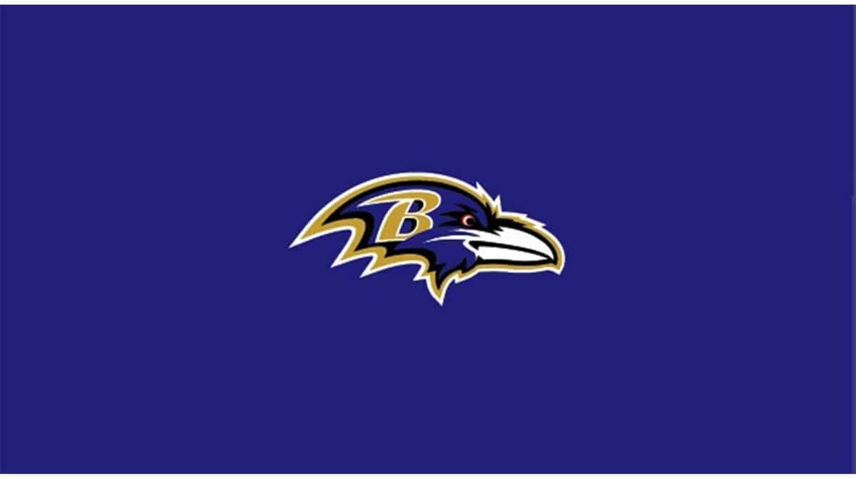 NFL BALTIMORE RAVENS 8' BILLIARD CLOTH 52-1025