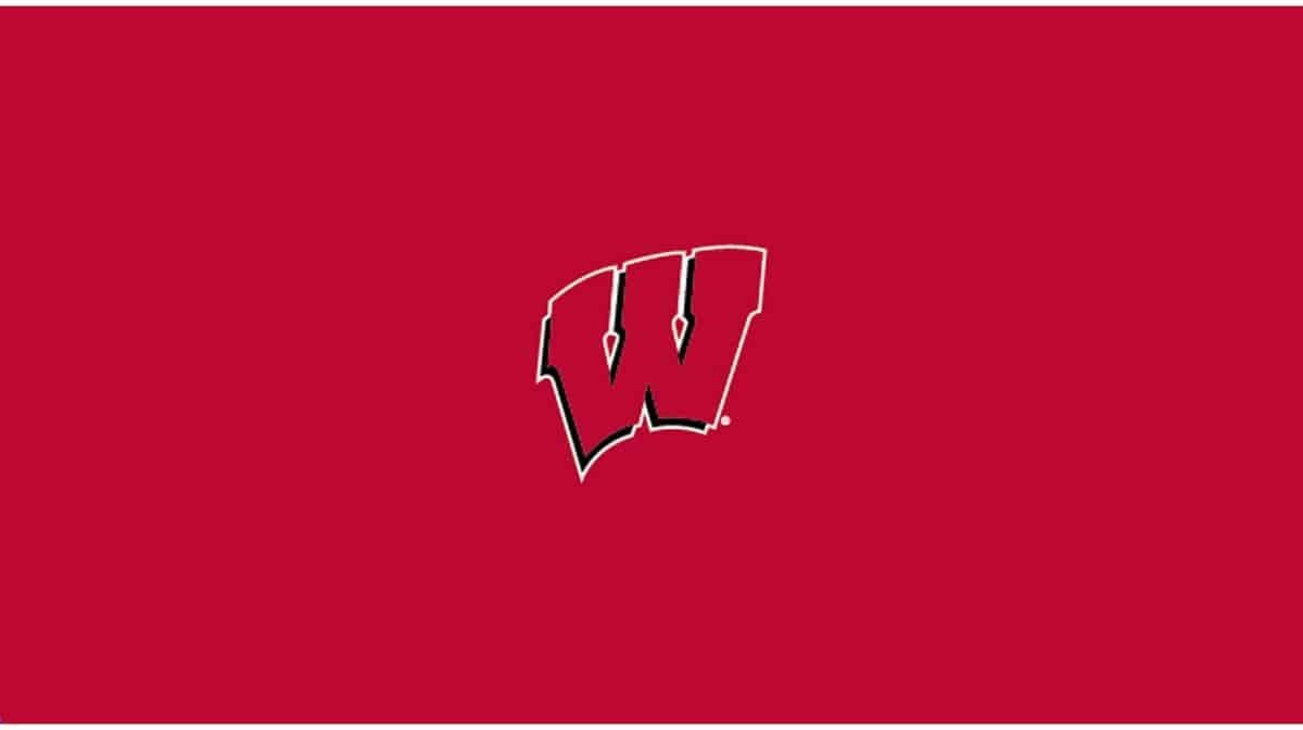 COLLEGE UNIVERSITY OF WISCONSIN 8' POOL TABLE CLOTH 52-4013