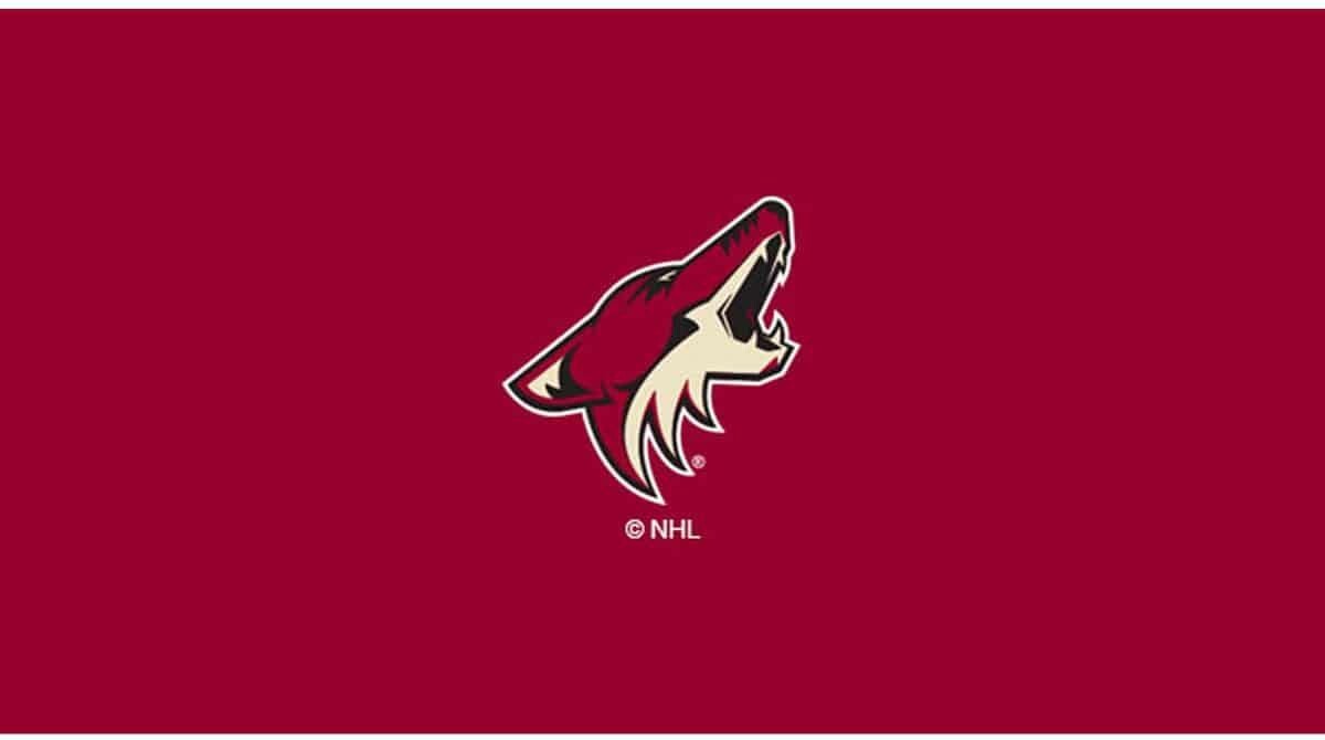 NHL ARIZONA COYOTES 8' BILLIARD CLOTH 52-5014