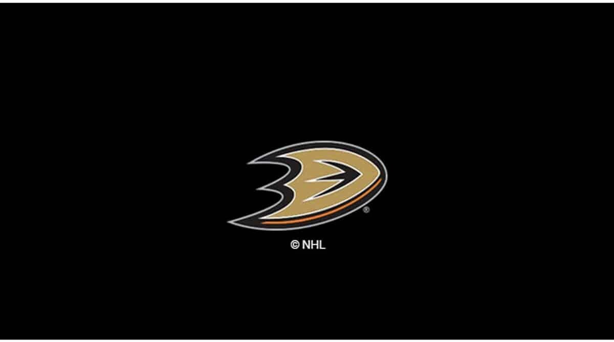 NHL ANAHEIM DUCKS 8' BILLIARD CLOTH 52-5015