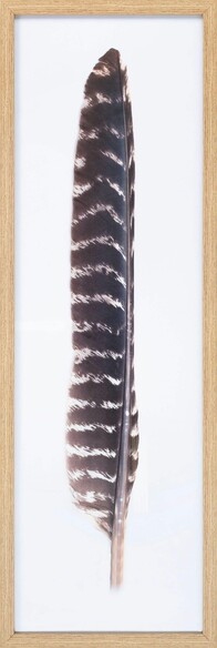 Kislay KIY-002 35