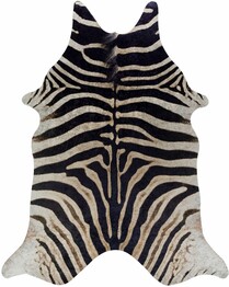 Dalyn Addison Cheyenne ACH37 Zebra