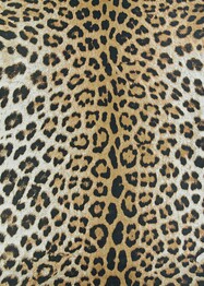Couristan Dolce Amur Leopard and New Gold New Gold 57500003