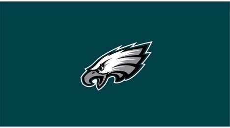 NFL PHILADELPHIA EAGLES 8' BILLIARD CLOTH 52-1037