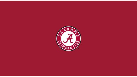 COLLEGE UNIVERSITY OF ALABAMA 8' POOL TABLE CLOTH 52-4001