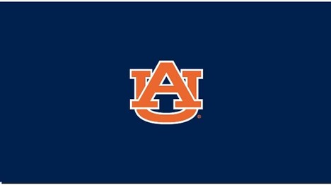 COLLEGE AUBURN UNIVERSITY 8' POOL TABLE CLOTH 52-4002