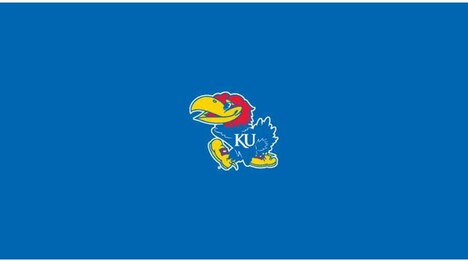 COLLEGE UNIVERSITY OF KANSAS 8' POOL TABLE CLOTH 52-4020