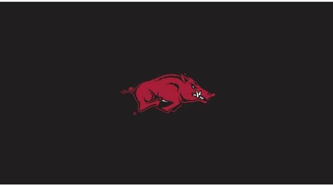 COLLEGE UNIVERSITY OF ARKANSAS 8' POOL TABLE CLOTH 52-4022