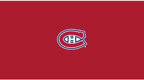 NHL MONTREAL CANADIENS 8' BILLIARD CLOTH 52-5009