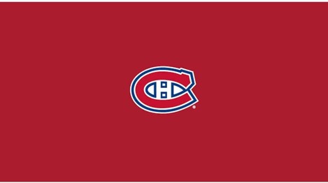 NHL MONTREAL CANADIENS 8' BILLIARD CLOTH 52-5009