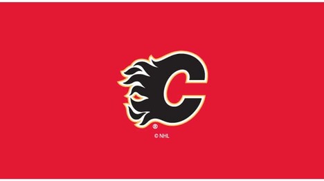 NHL CALGARY FLAMES 8' BILLIARD CLOTH 52-5011