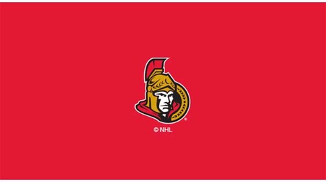 NHL OTTAWA SENATORS 8' BILLIARD CLOTH 52-5012