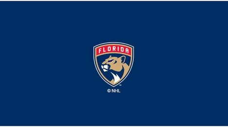 NHL FLORIDA PANTHERS 8' BILLIARD CLOTH 52-5021