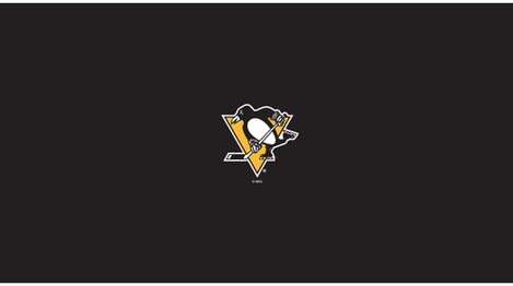 NHL PITTSBURGH PENGUINS 8' BILLIARD CLOTH 52-5031