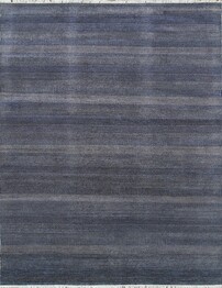 Pasargad Transitiona Transitiona GRASSNVY Navy