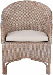 ANTONIA ACCENT CHAIR W/CUSHION