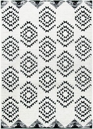 Safavieh Skyler SKY179A Ivory and Black