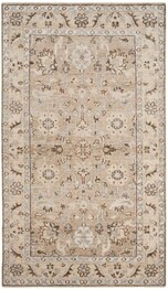 Safavieh Maharaja MHJ414A Beige and Ivory