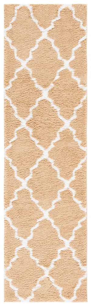 Safavieh Berber Shag 2'-3