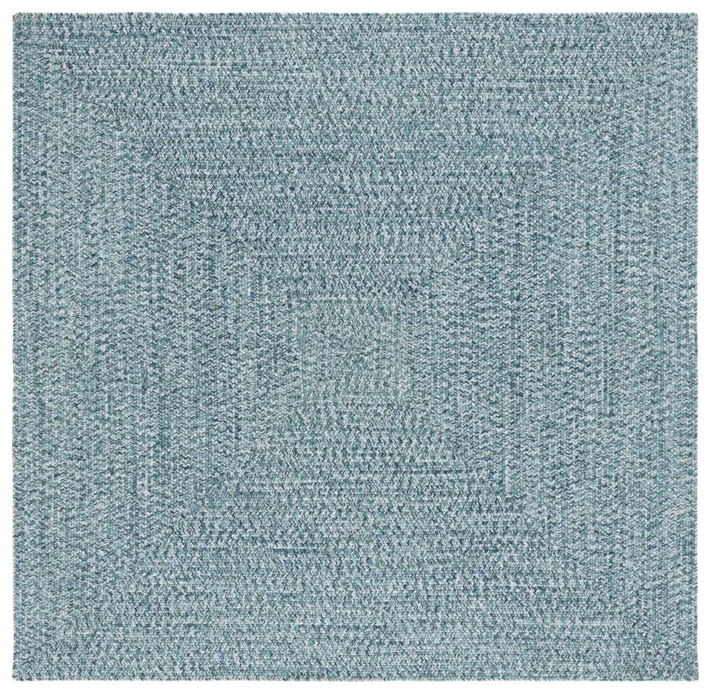 Safavieh Braided 6'-0