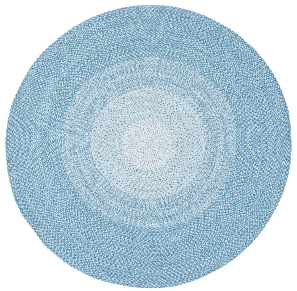 Safavieh Braided 6'-0