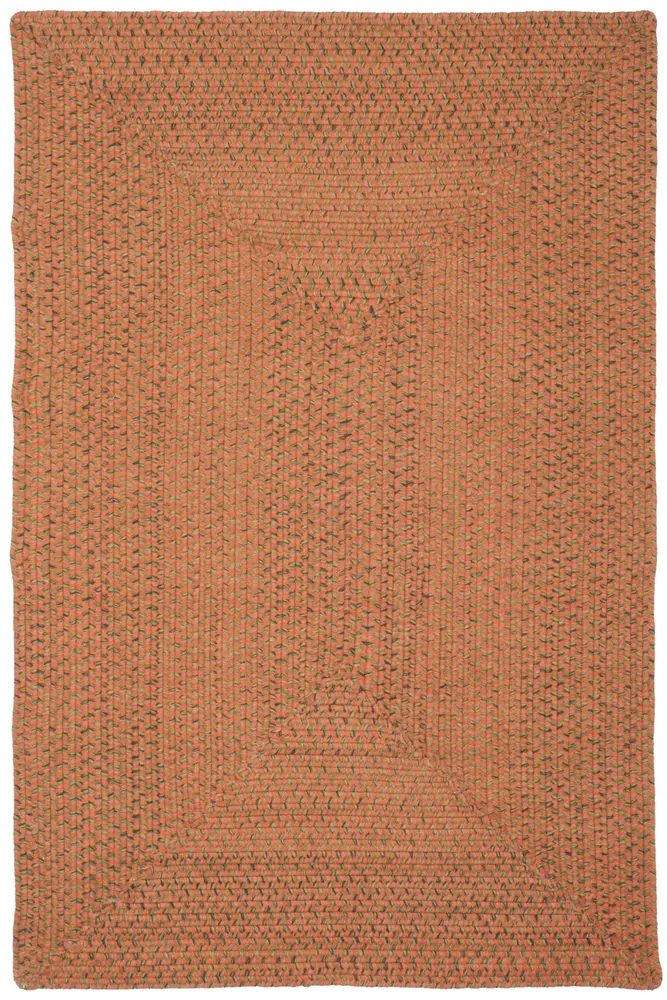 Safavieh Braided 4'-0