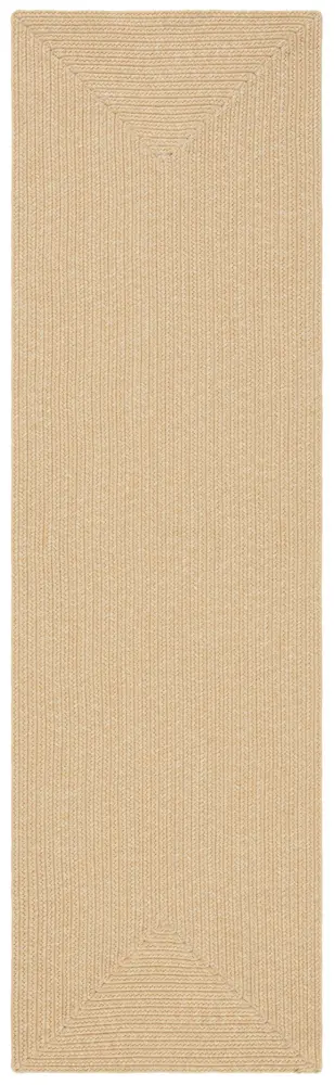 Safavieh Braided 2'-3