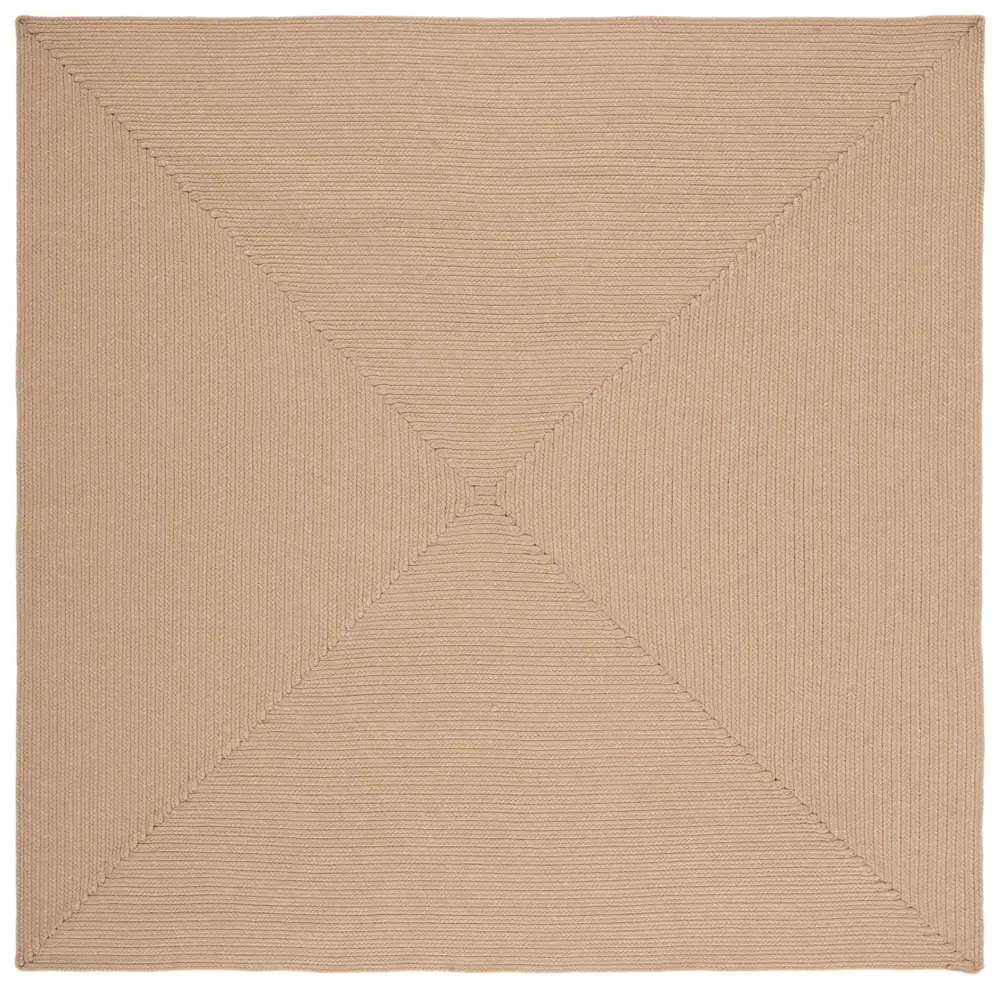 Safavieh Braided 6'-0