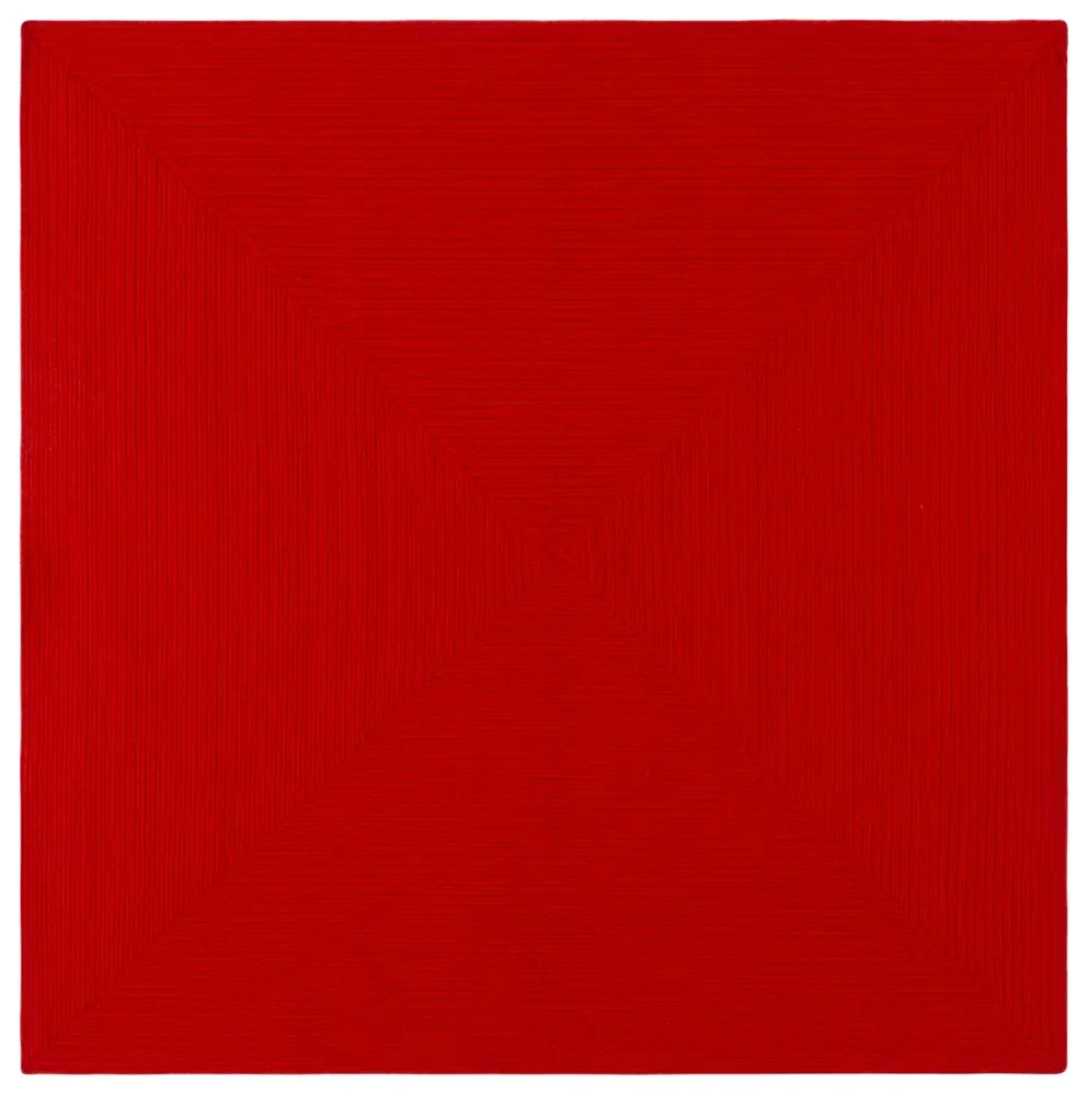 Safavieh Braided 6'-0