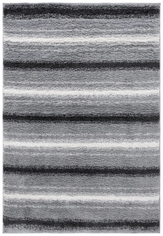 Safavieh Border & Stripe Shag 200 5'-3