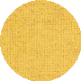 Gold / Ivory