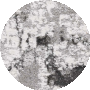 Grey / Ivory