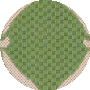 Green / Beige