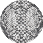 Grey / Black