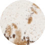 Beige / Dark Brown