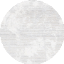 Beige / Ivory Grey