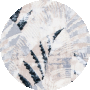 Ivory / Grey