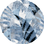 Ivory / Blue