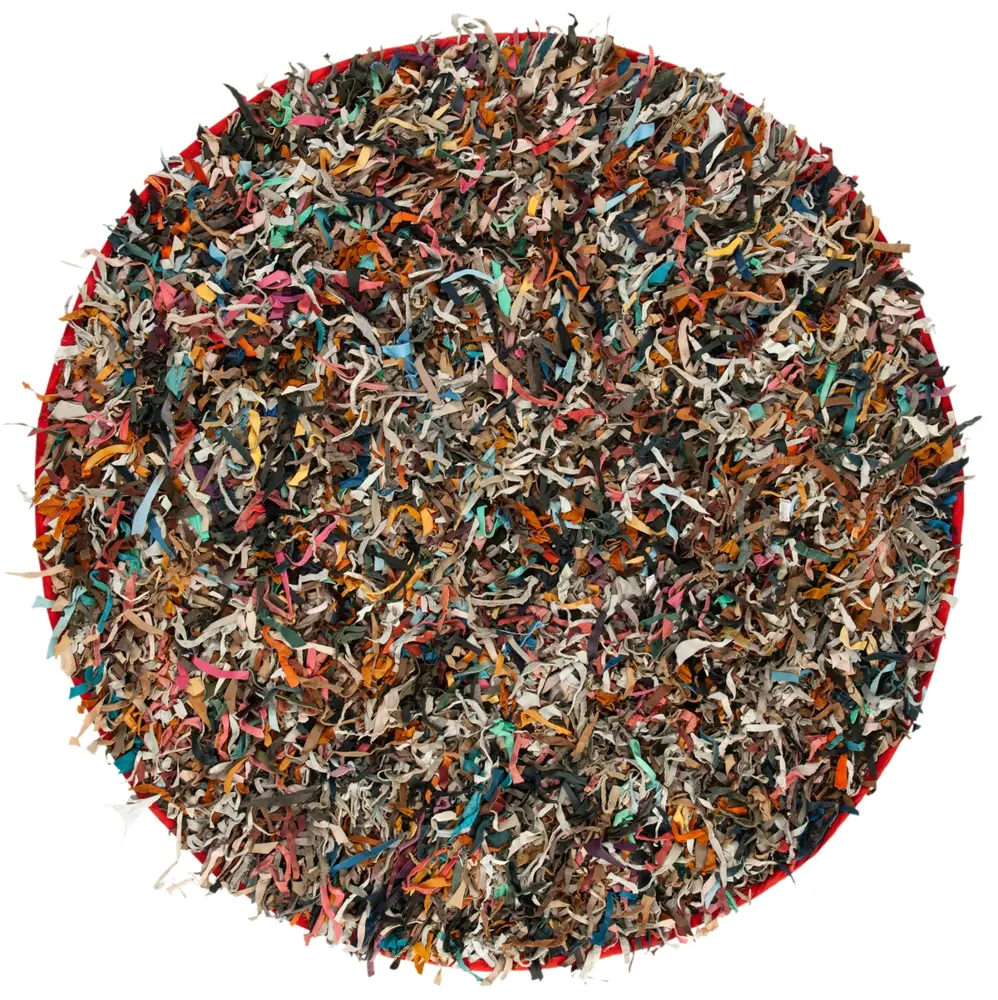 Safavieh Leather Shag 6'-0