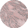 Light Grey / Pink