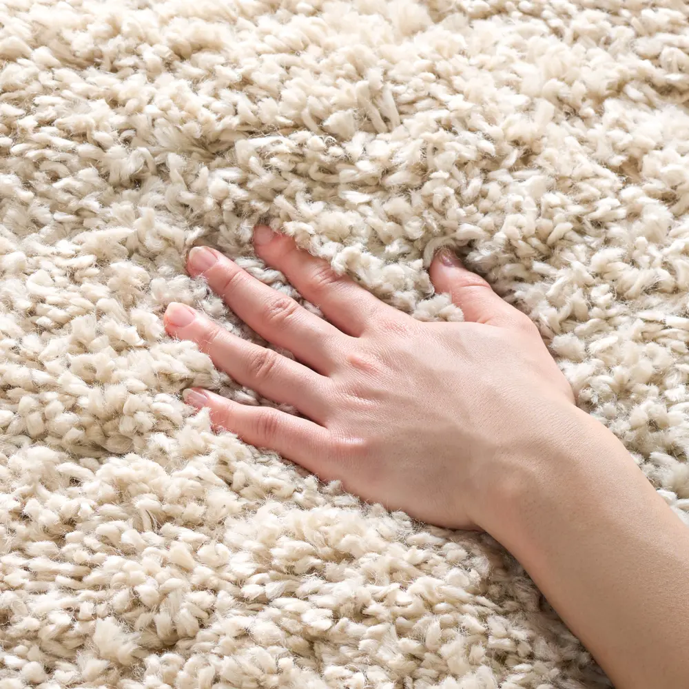 Safavieh August Shag 4'-0