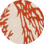 Beige / Terracotta