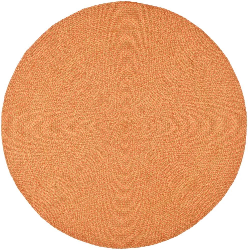 Safavieh Braided 6'-0