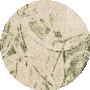 Beige Green
